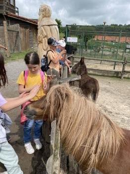 IMG_5027.jpeg