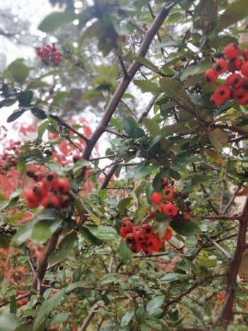 e5c60239-f769-4196-88cb-070030297cd0.jpeg