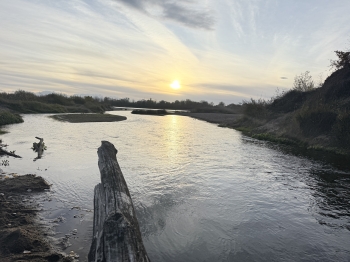 Emilia Sobótka, kl.1, SP6, Otwock.jpeg