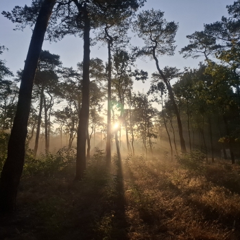 Jesienny wschód słońca w Otwocku_Kinga Gajewska, kl2, Sp9, Otwock
