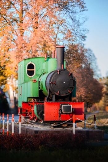 Julia Kryczka, kl. 2, SP6, Otwock.jpeg