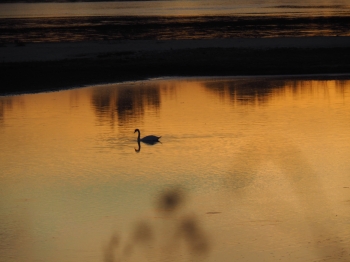 Laura Chmielarz, kl. 2, SSP nr 96 im. Świętej Rodziny, Otwock.JPG