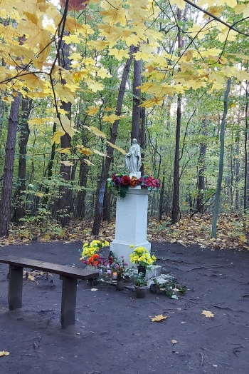 Julia Papiernik, kl.2 SP Malcanów