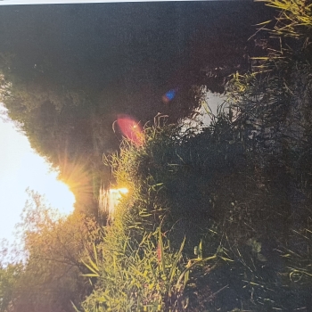 Maksymilian Pacek, kl.2, SP4, Otwock