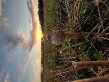 Maria Biźnia, SP2, kl3b, Otwock