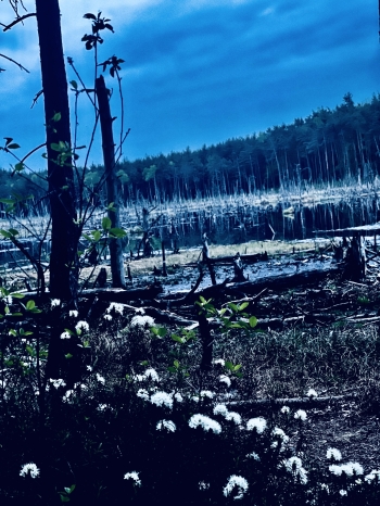 Mateusz Osica, kl. 1, SP1, Otwock