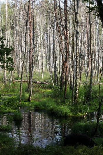 Pola Nalepko, kl.1, SP1, Józefów.JPG