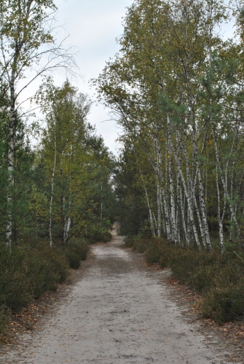 Natalia Tomaszewska, SP2, kl2, Otwock.JPG