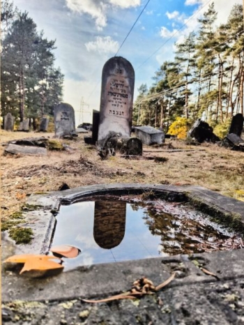 Szymon Reszczyński, kl.2, SP2, Otwock