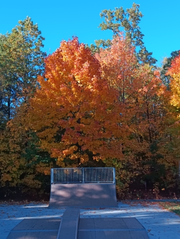 Zuzanna Góralska, kl. 3, SP Stara Wieś