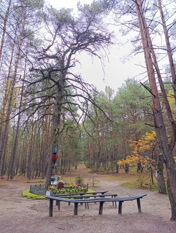 Zofia Kowalczyk, kl.3, SP Stara  (1)