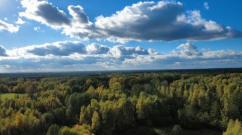 Aleksander Antolik, kl.5, SP Malcanów