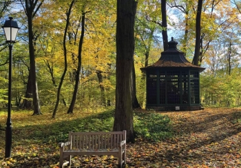 Aleksandra Jasińska, kl.7, SP12, Otwock