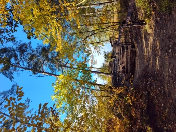 Aleksandra Wilczek, kl.5, SP Stara Wieś