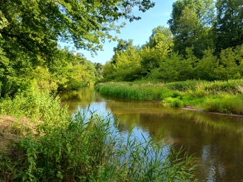 Amelia Biernacka, kl.6b, SP2, Otwock