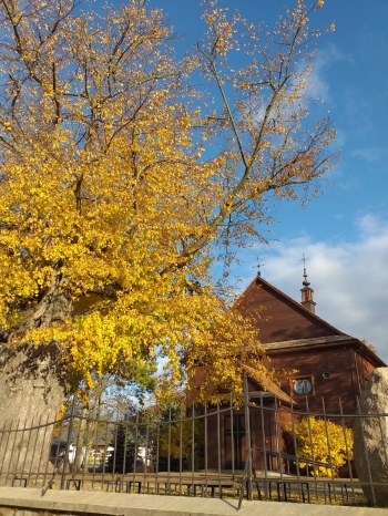 ANNA KOSMAL KL 7, SP12, Otwock