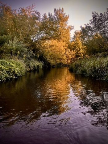 Barbara Szmidt, kl. 8, SP3, Otwock