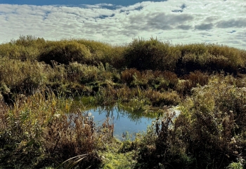 Bernard Stefanowski, kl.8, SP Stara Wieś.jpeg
