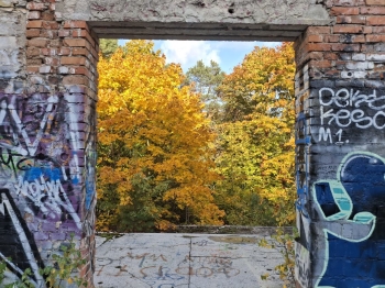 Daria Świderska, kl.7, SP4, Otwock