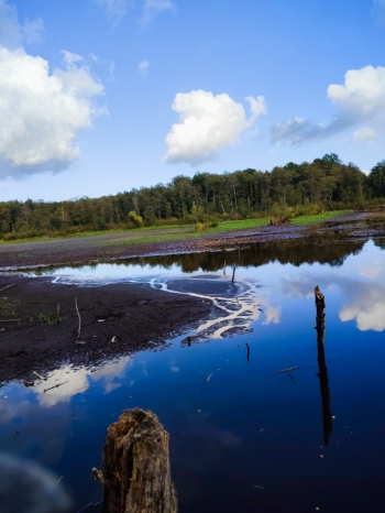 Gabriela Mrozińska, kl.VII, SP4, Otwock