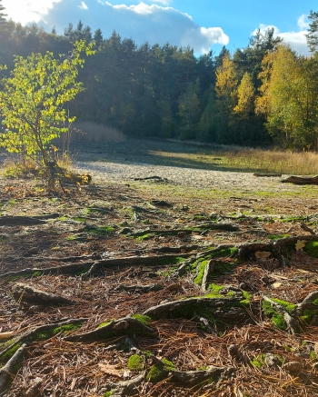 Hanna Papiernik kl.4, SP Malcanów