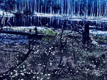 Jerzy Osica, kl. 5, SP4, Otwock