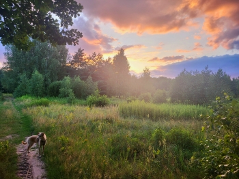 Łucja Rybka, kl.7, SP Stara Wieś 