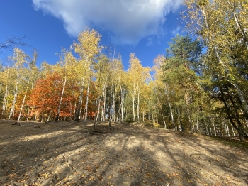Łysa Góra - Mateusz Strzyżewski, kl.7, SP nr 12, Otwock