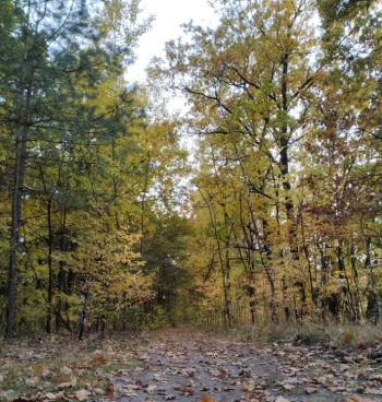 Maja Bakuła, kl.7, Stara Wieś