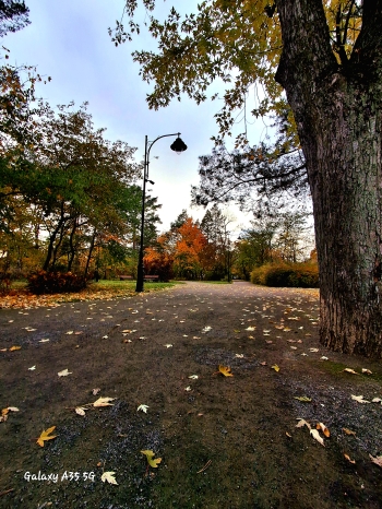 Maja Drewniak, kl.7, SP Stara Wieś
