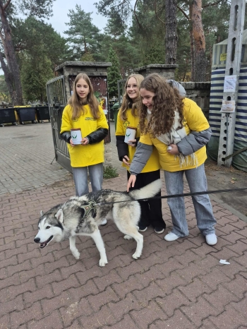 fe3c932f-1843-49d2-8891-1e2c95f7a4ca