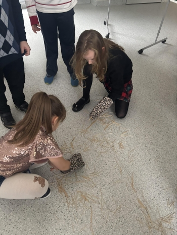 05abd9f2-78fe-4c41-94aa-9ef6a8addba6