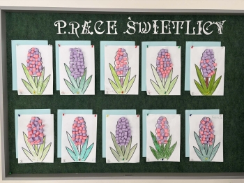 1b656ed9-a2e0-4fbc-98e6-1ec53773ab28