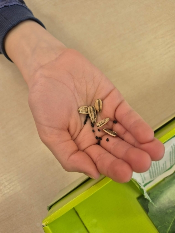 0d359f6a-1dca-47b9-8b07-5eb12de6fcf8