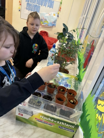 80ba7269-7f92-4168-a7a2-6ae607f4fab3