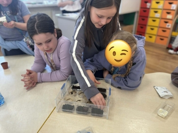 666b73e0-b49a-4e3b-be49-5eb727a5c668