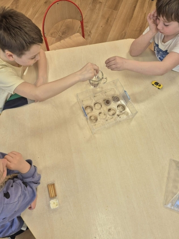 09099a02-4a32-4381-9d69-0aab58e65dd5