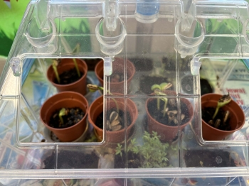 44151b91-8fd2-46c8-bd76-7750008e2f8a