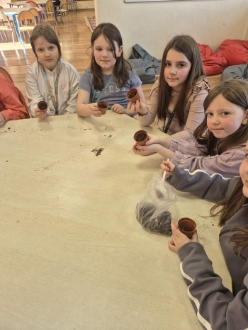 d560d81b-8dec-4f78-95cc-6ac50ad58d92