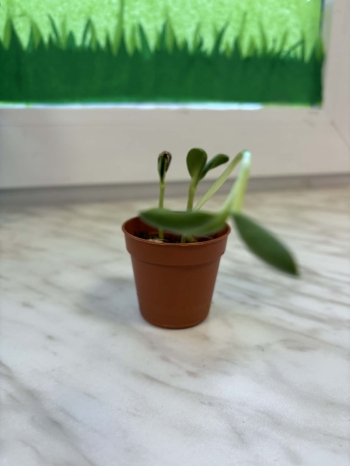 ec40908e-5769-4888-8207-295d027d3fc8