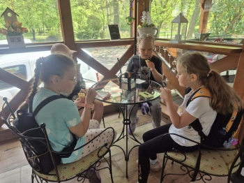 Sosenka 1