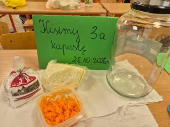 kapusta4