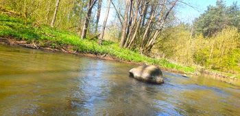 Rzeka Świder, Malanowicz, SP3 w Otwocku