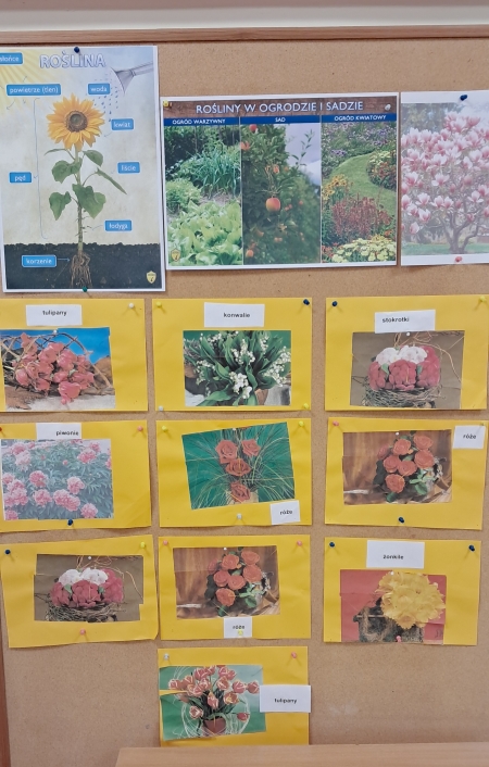 Klasa 3a w kolorach kwiatów