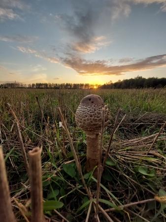 Galeria konkursowych zdjęć klas 1-3