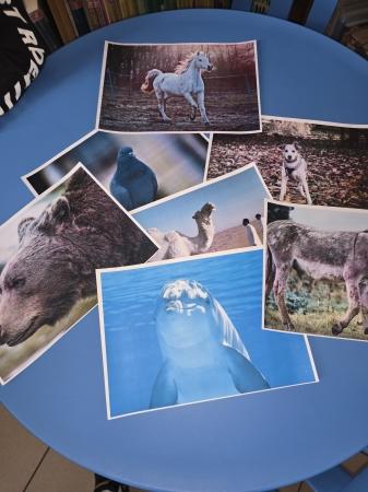 klasa 2c odwiedziła Bibliotekę Publiczną w Otwocku