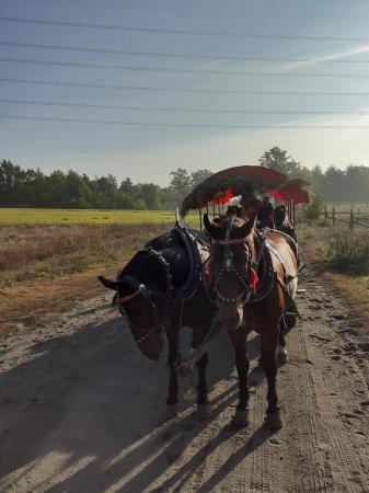 Klasy 4 na wycieczce